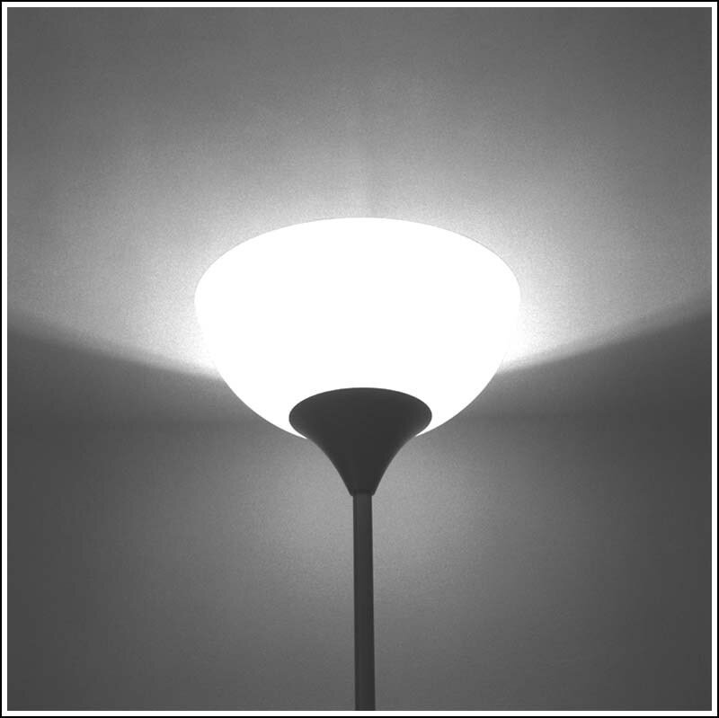 Floor Lamp with Shade