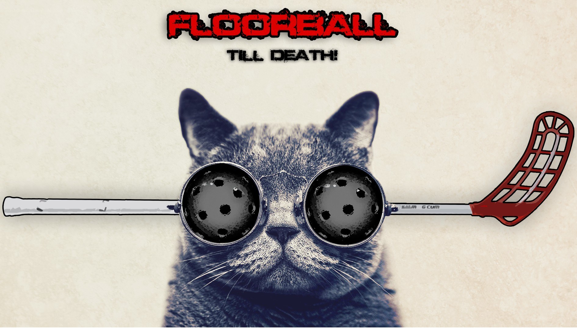 Floorball Till Death
