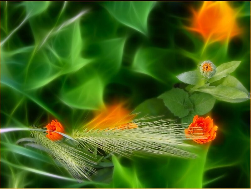 Floral abstract with orange flowers