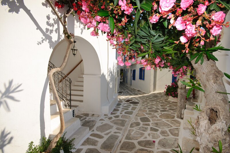 Floral alley in a Greek village