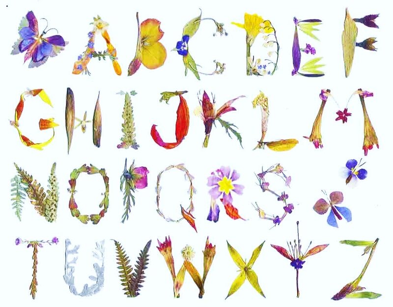 Floral alphabet art