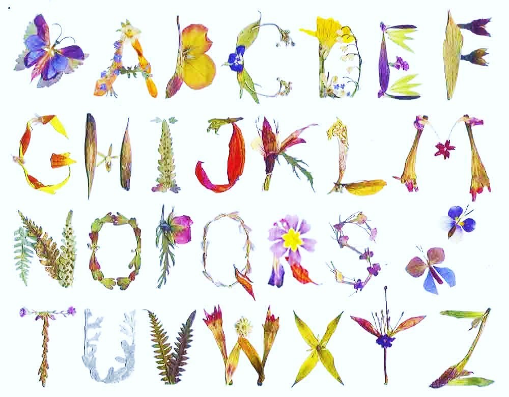 Floral alphabet art