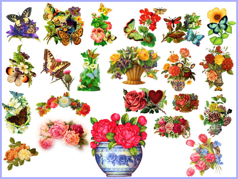 Floral and Butterfly Illustrations