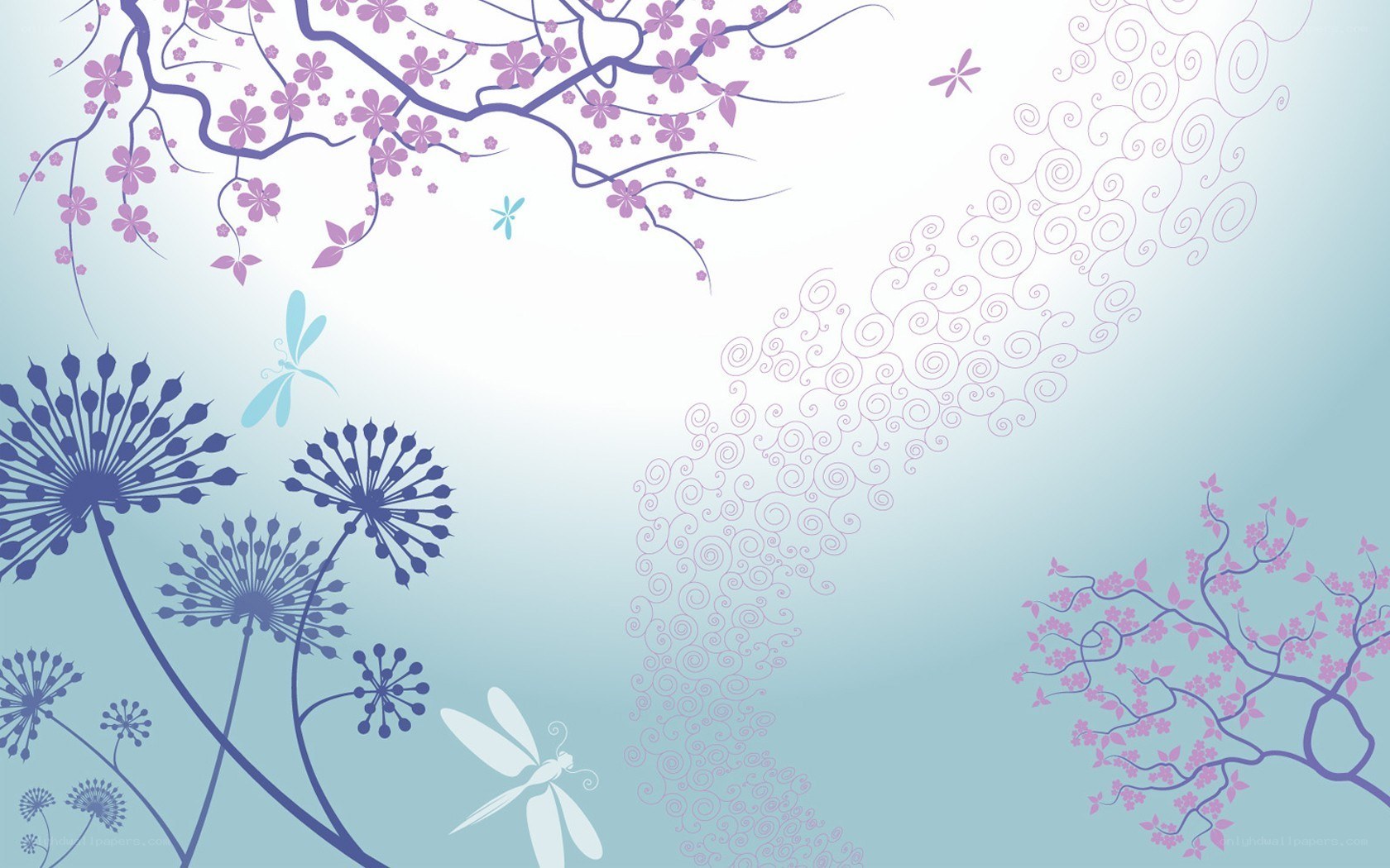 floral and dragonfly illustration