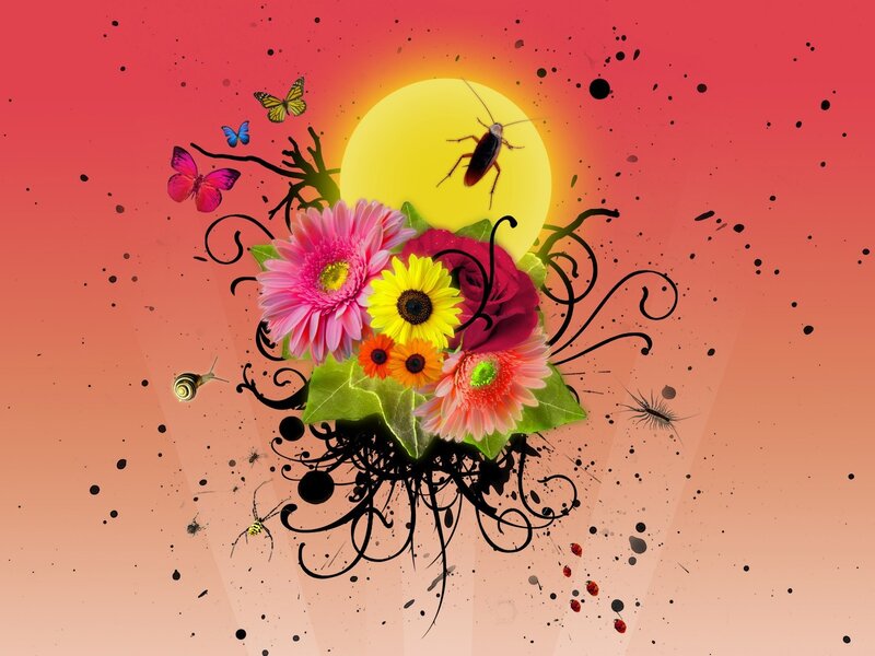 Floral and insect collage art