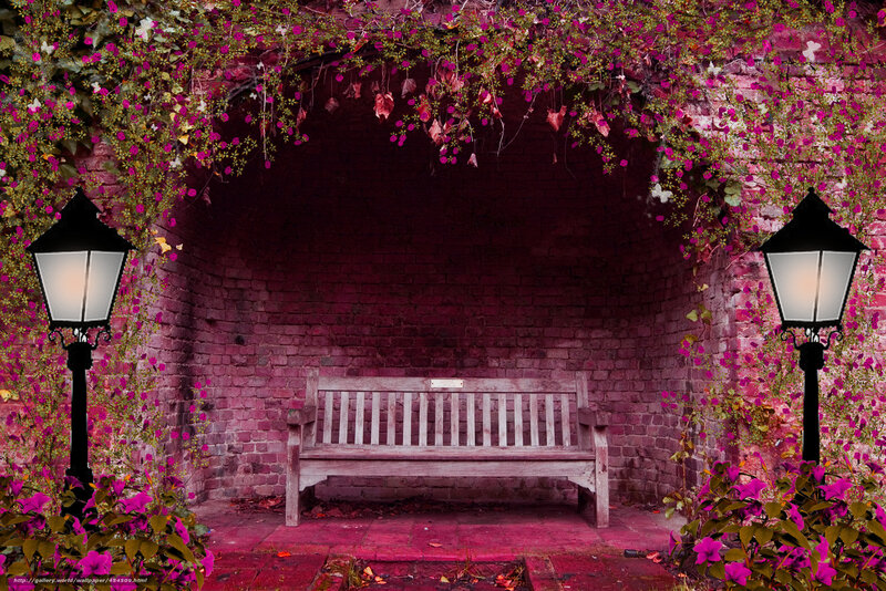 Floral arch bench scene