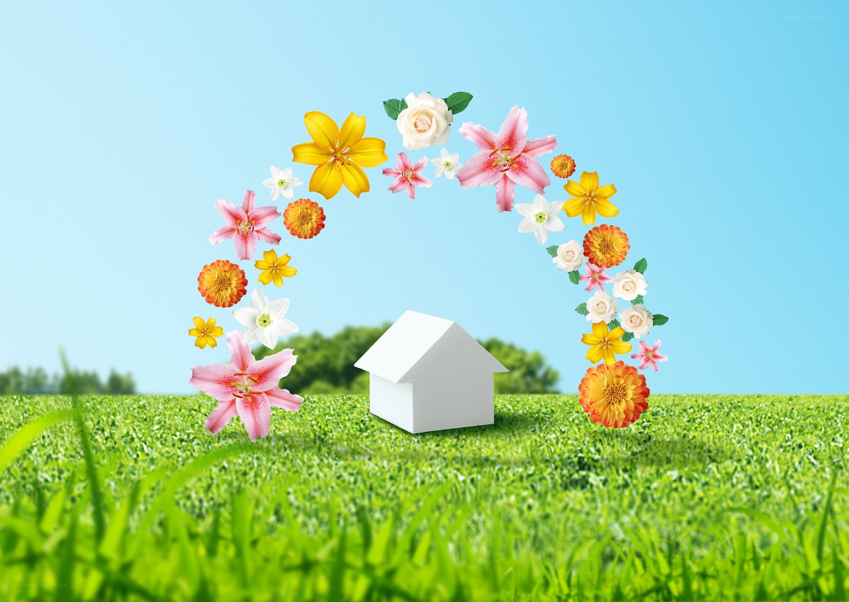 Floral arch over a house