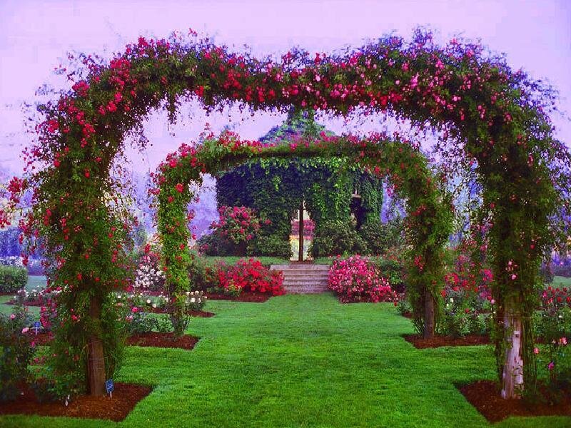 Floral archway in a garden