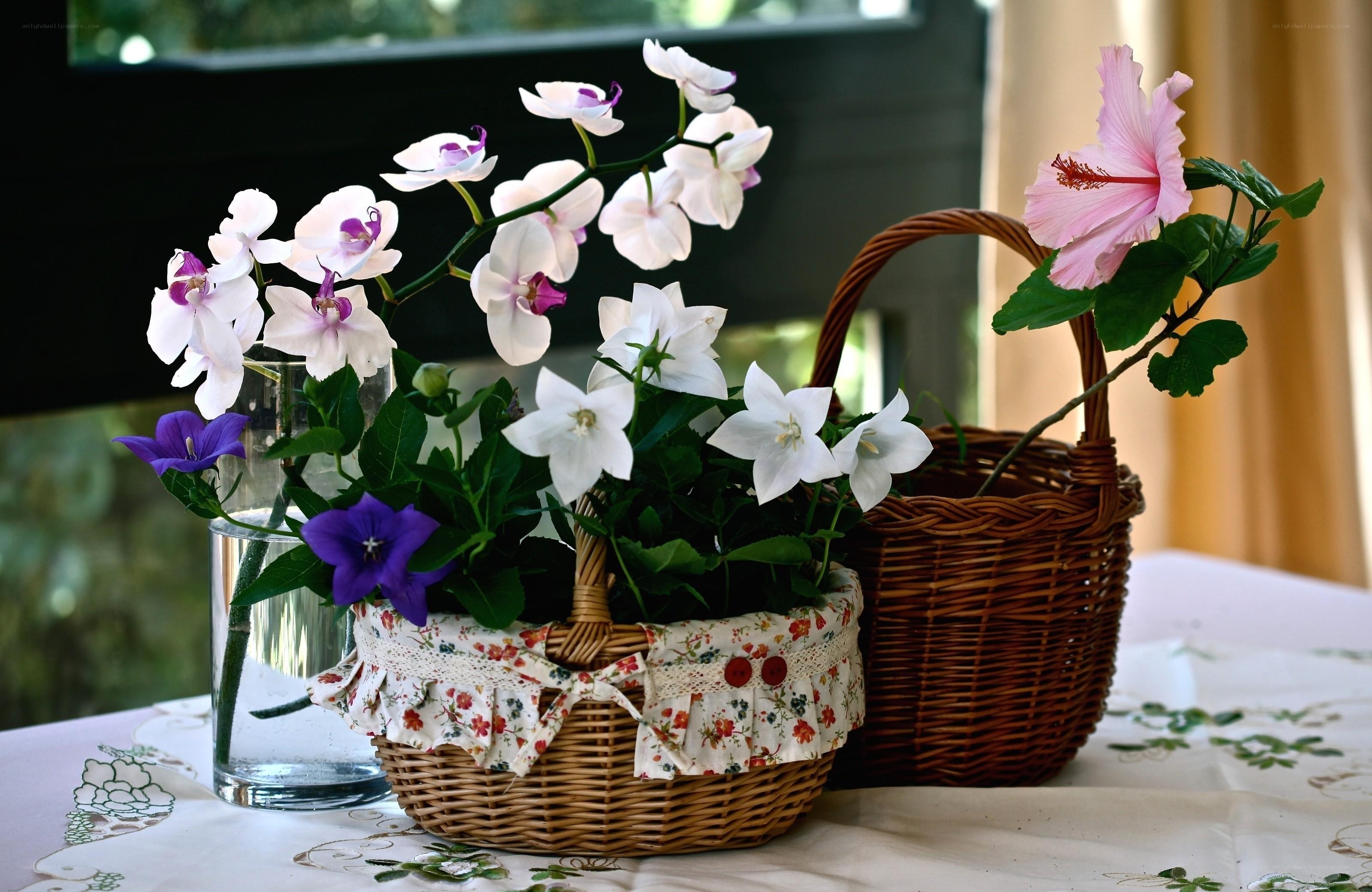 Floral arrangement in baskets