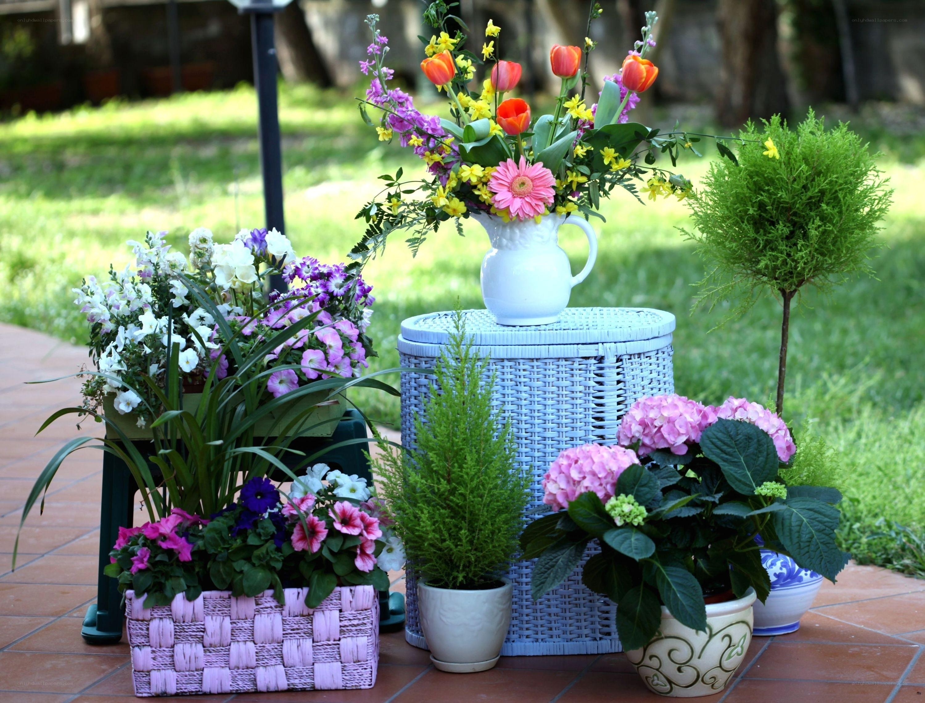 Floral arrangement in garden