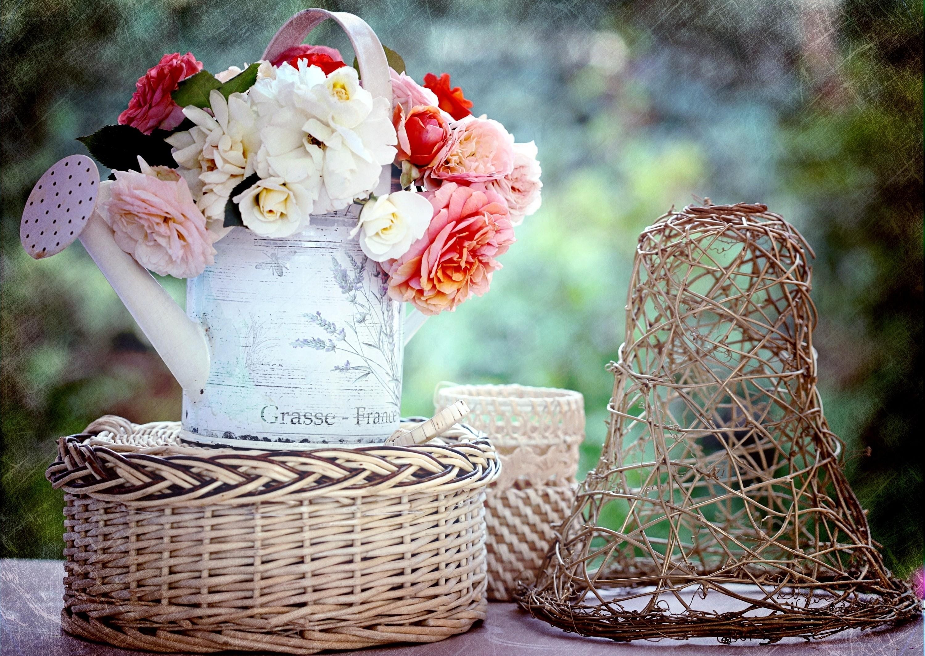 Floral arrangement in watering can