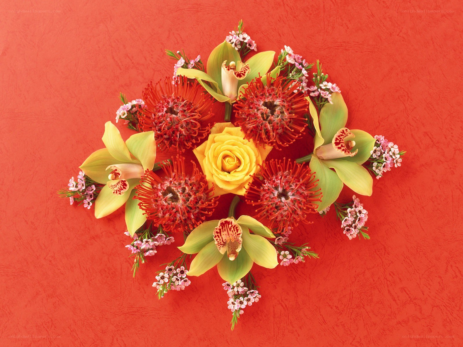 Floral arrangement on red