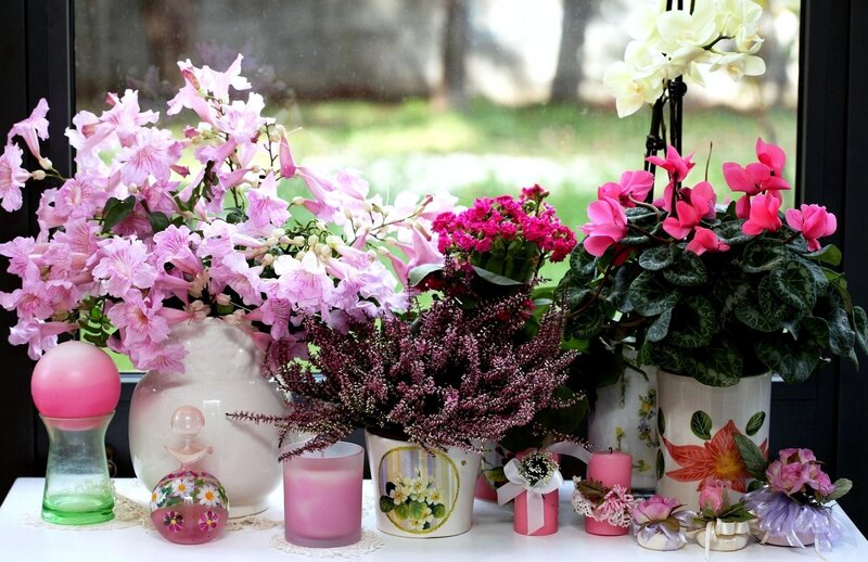 Floral arrangement on windowsill