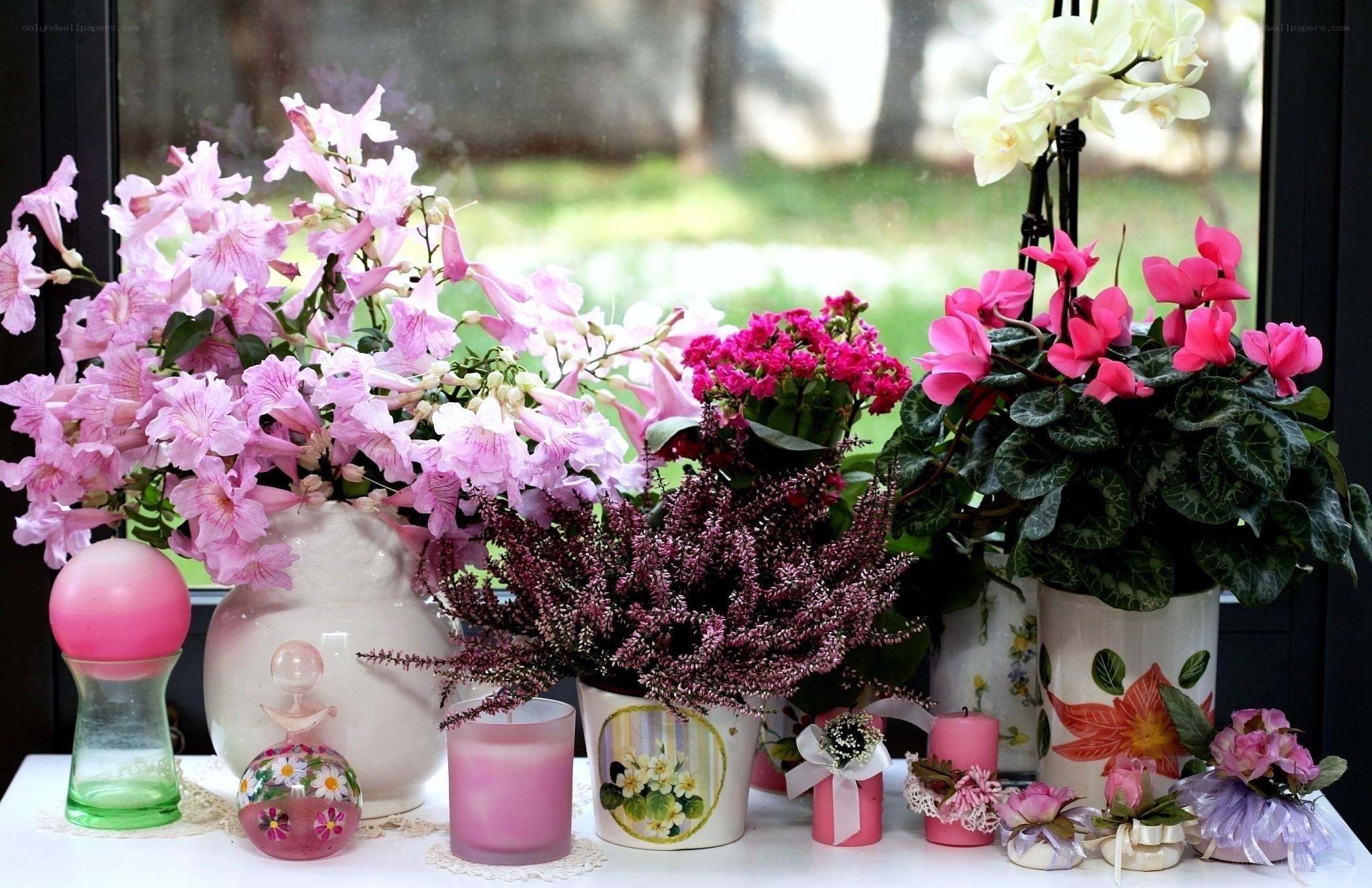 Floral arrangement on windowsill