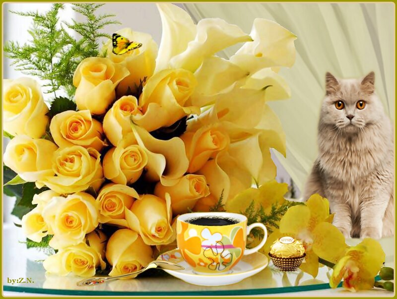 Floral Arrangement with Cat