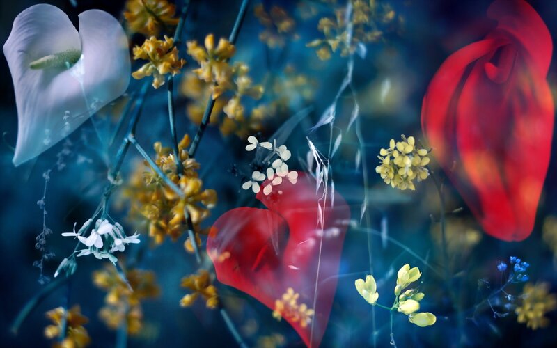 Floral Arrangement with Heart Shapes