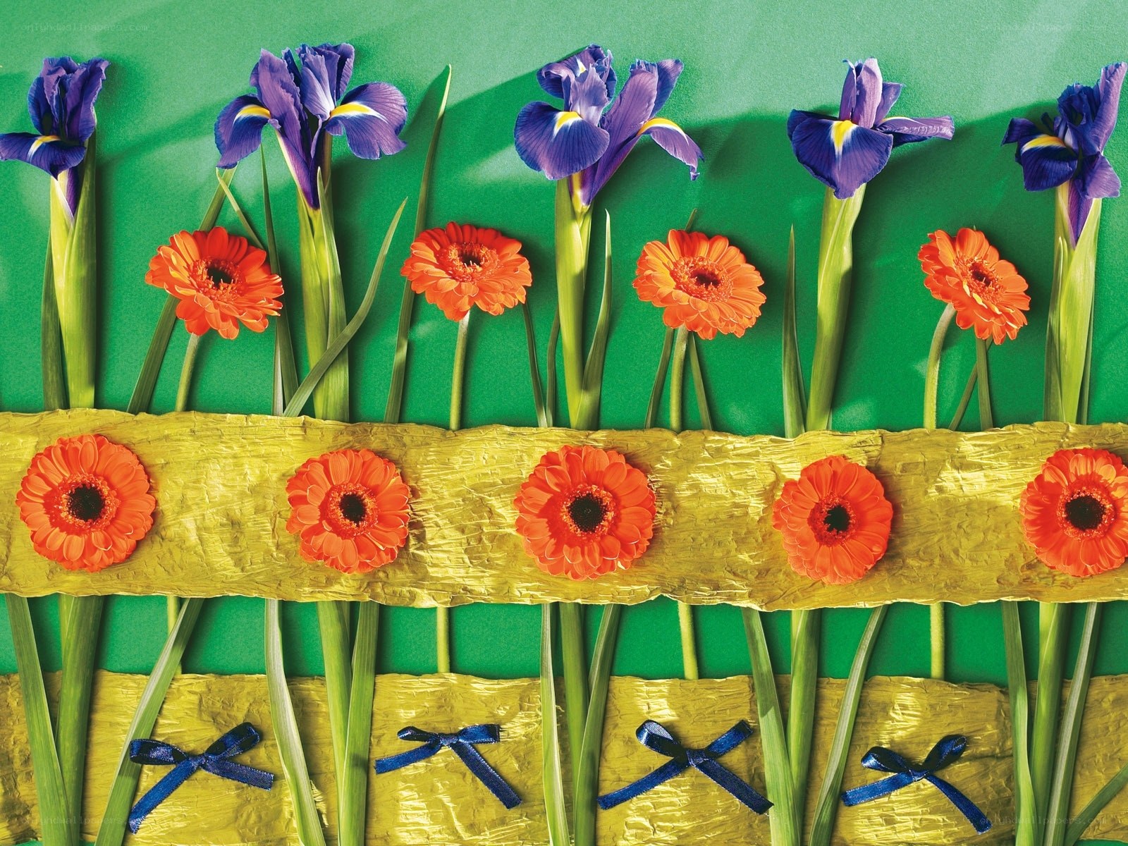 Floral arrangement with irises and gerberas