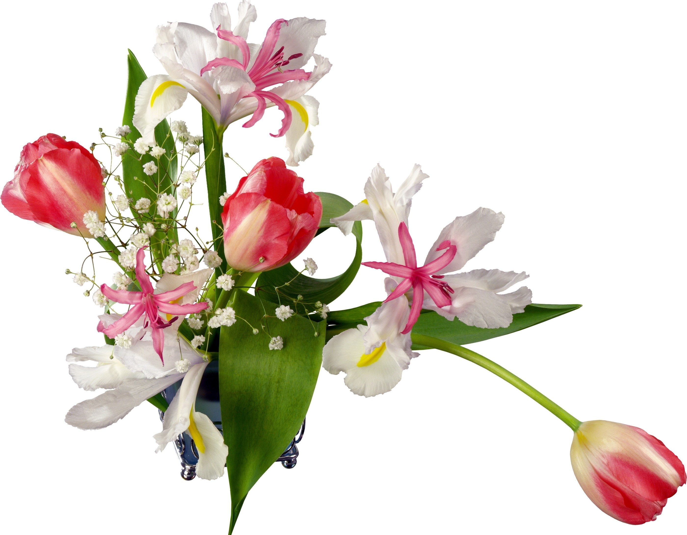Floral arrangement with tulips and irises