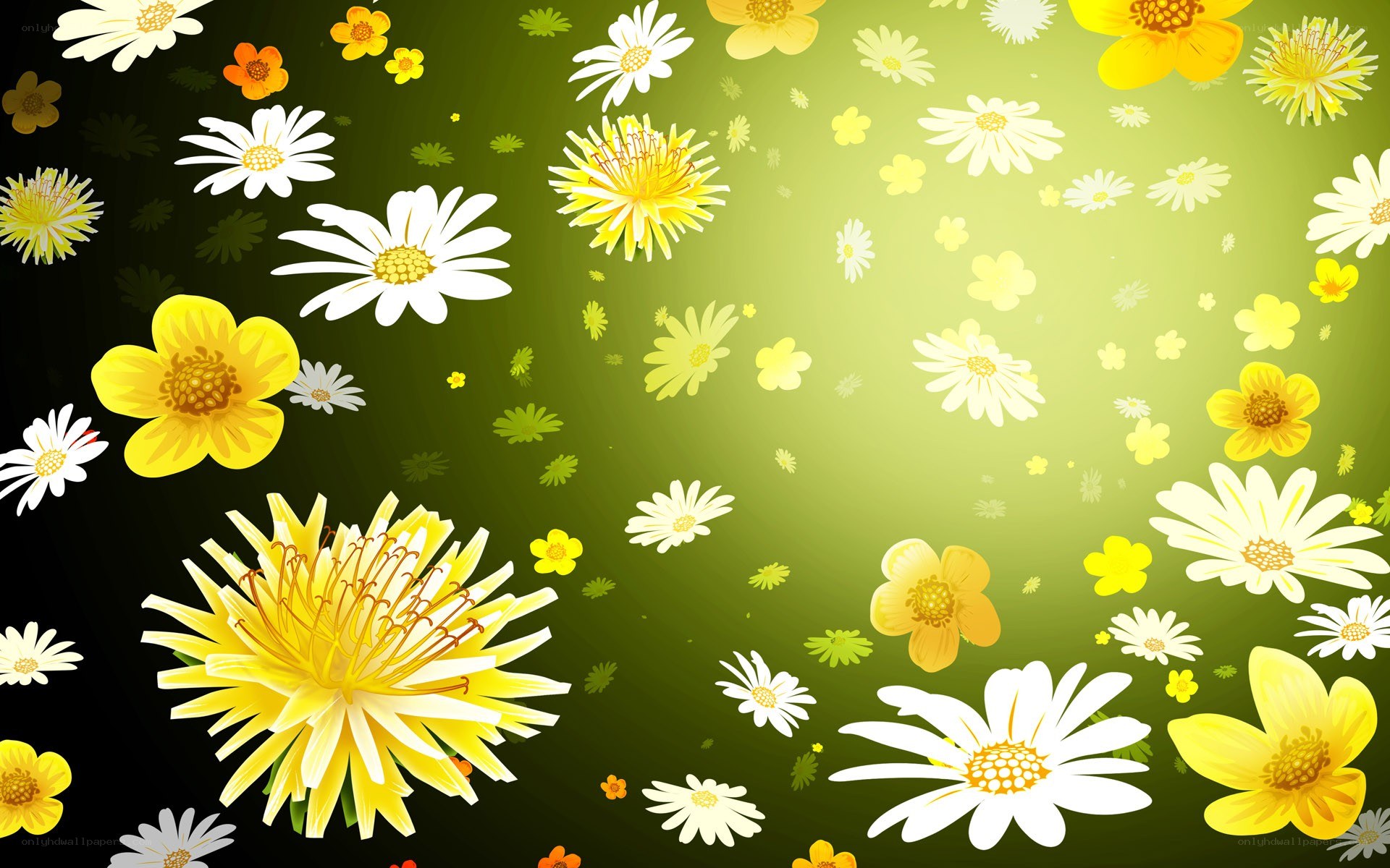 Floral background with daisies