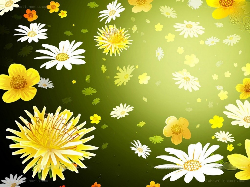 Floral background with daisies