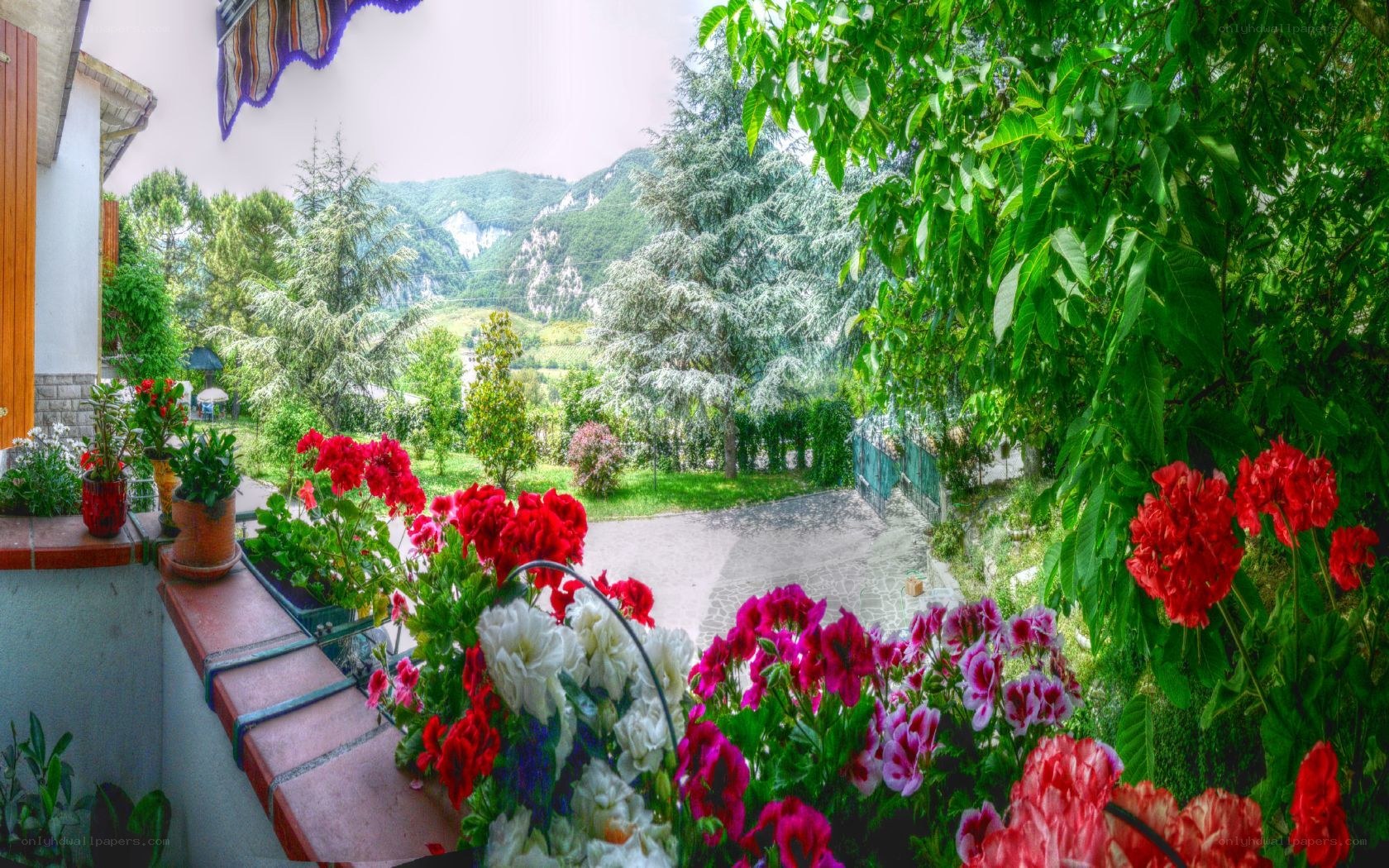 Floral balcony with mountain view