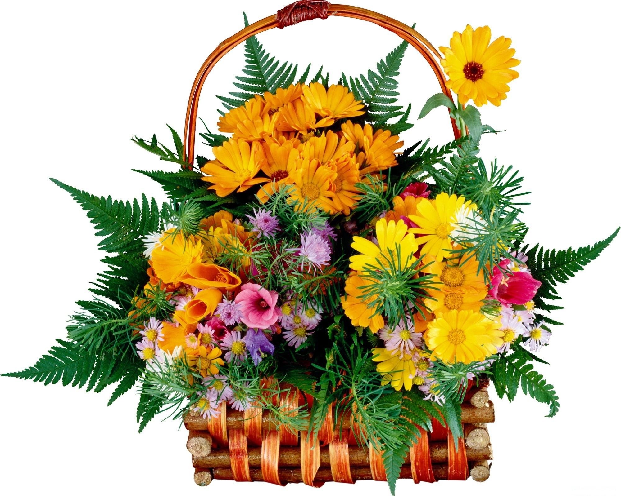 Floral basket with daisies