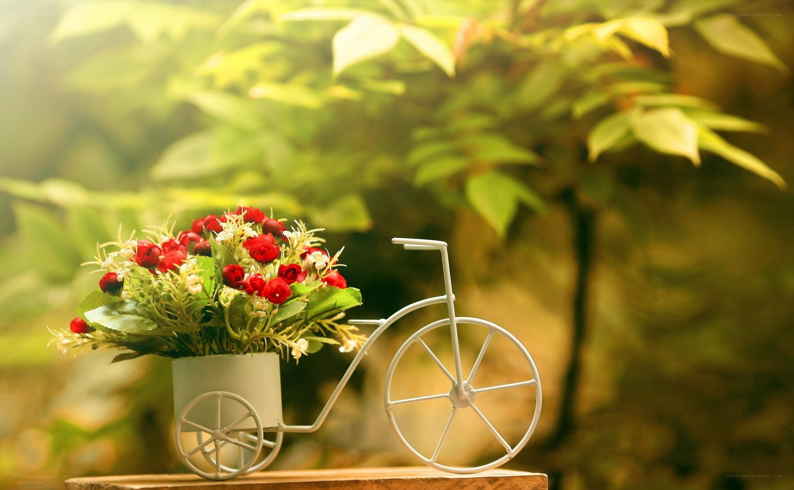 Floral bike decoration