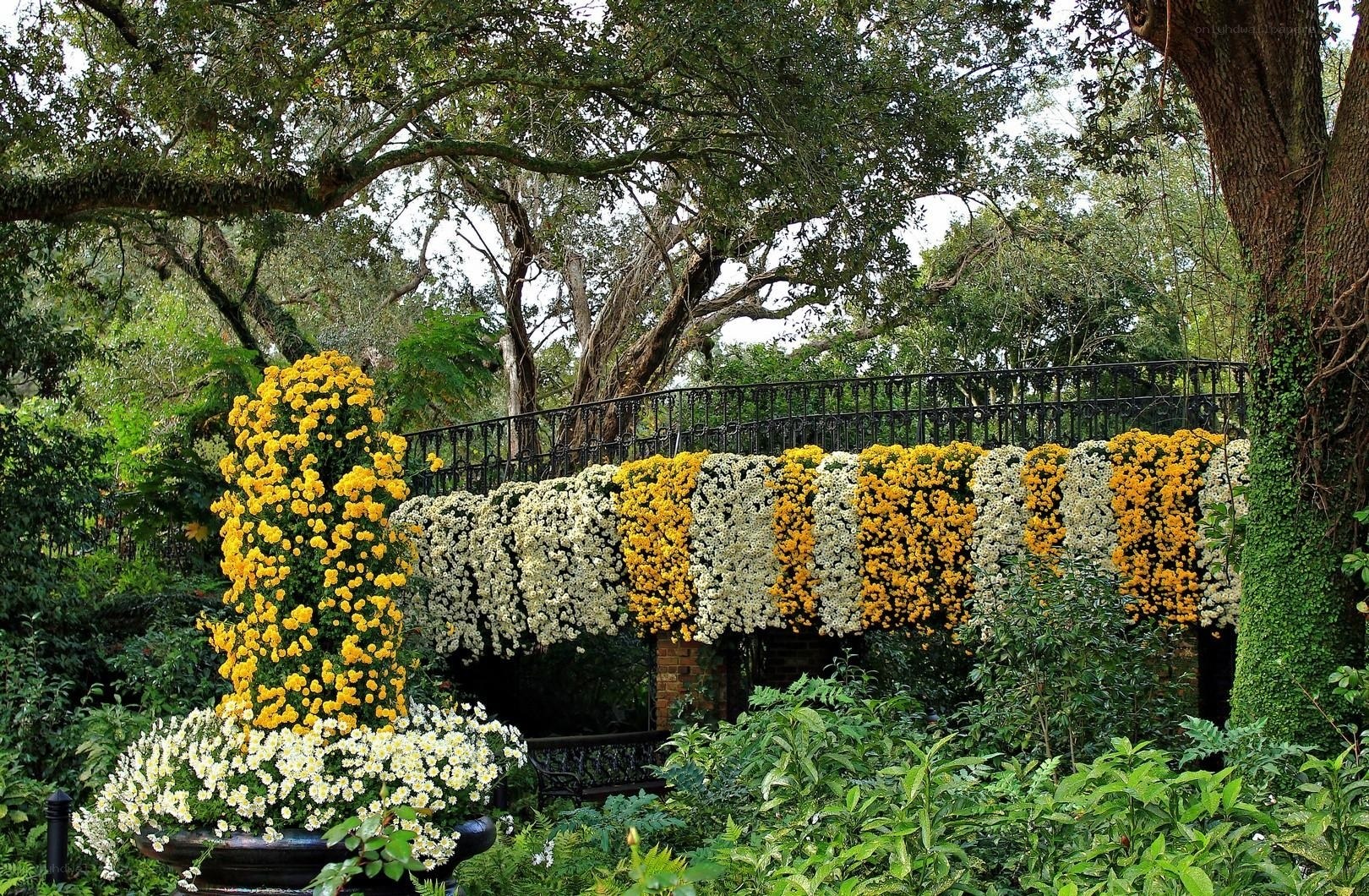 Floral bridge in a lush garden
