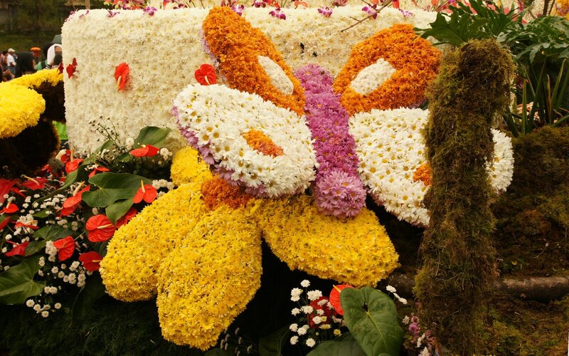 Floral butterfly display