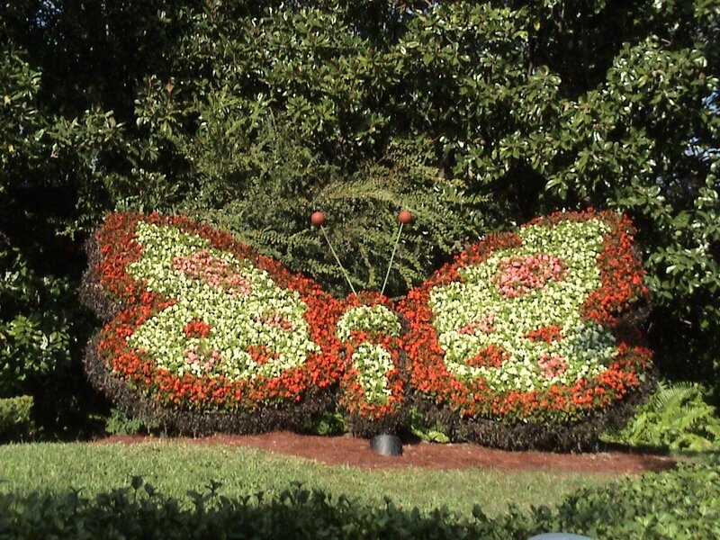 Floral butterfly topiary