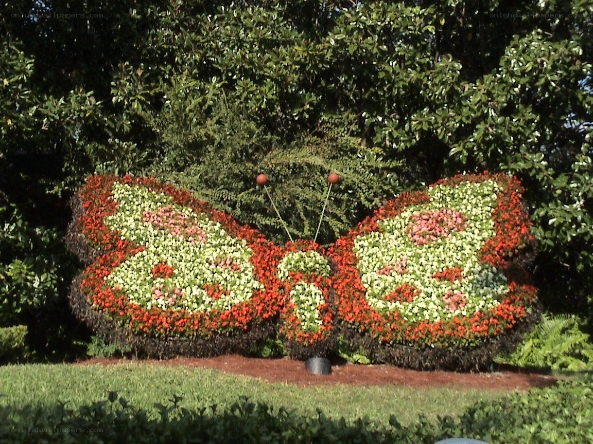 Floral butterfly topiary