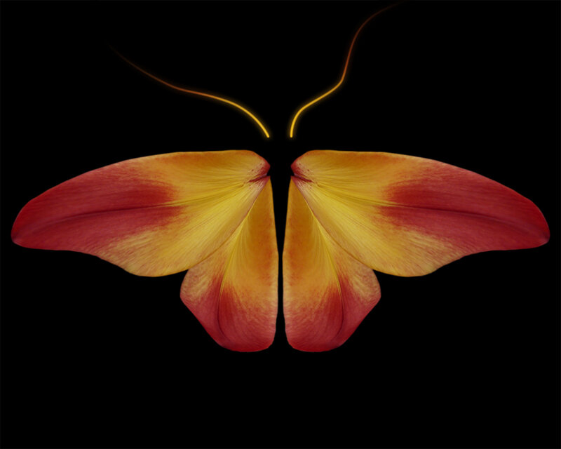 Floral butterfly with glowing antennae