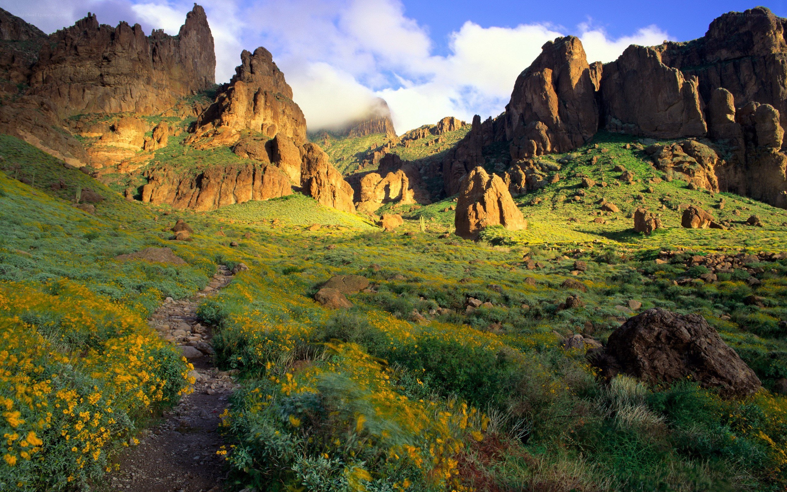 Floral canyon landscape