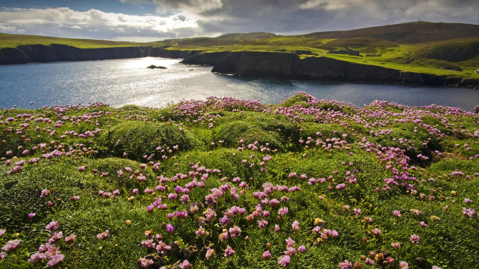 Floral cliffs overlooking a bay