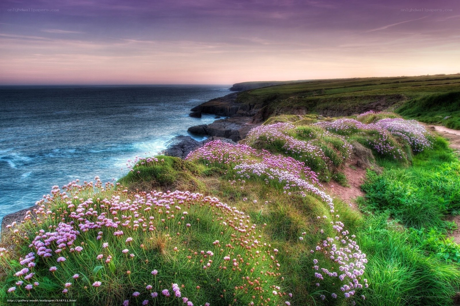 Floral Cliffs Overlooking the Sea