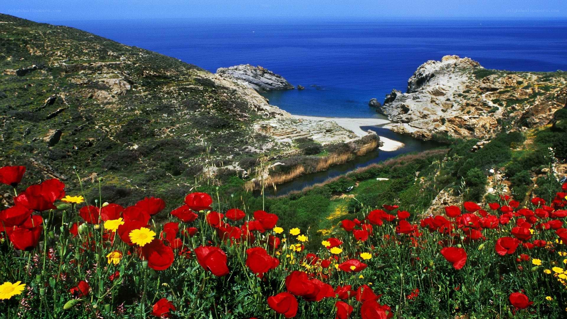 Floral coast with blue sea