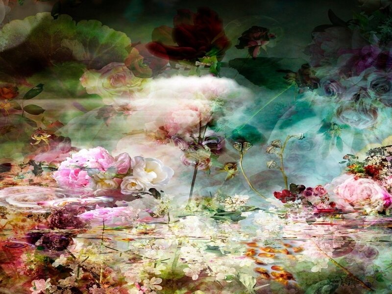 Floral Collage with Reflections