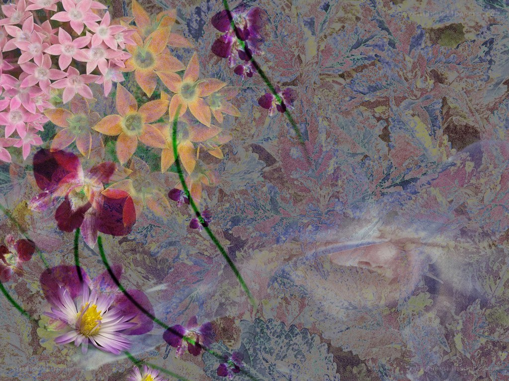 Floral collage with soft colors