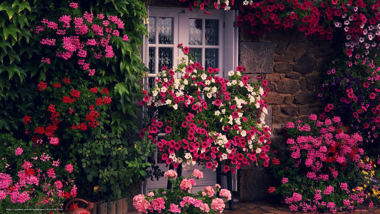 Floral cottage garden