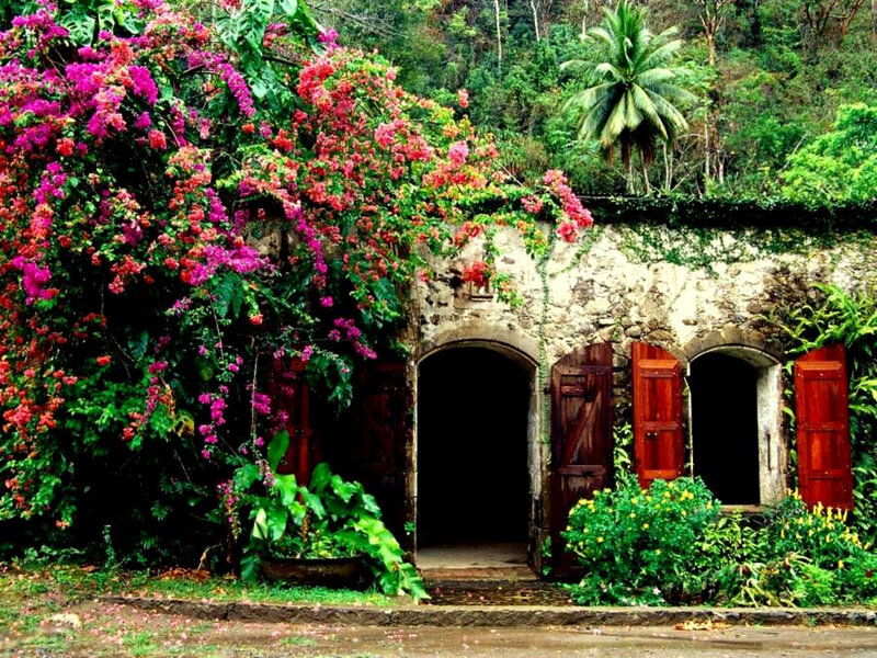 Floral cottage in tropical garden