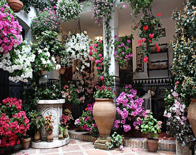 Floral courtyard garden