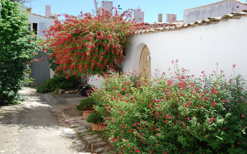 Floral courtyard with white walls