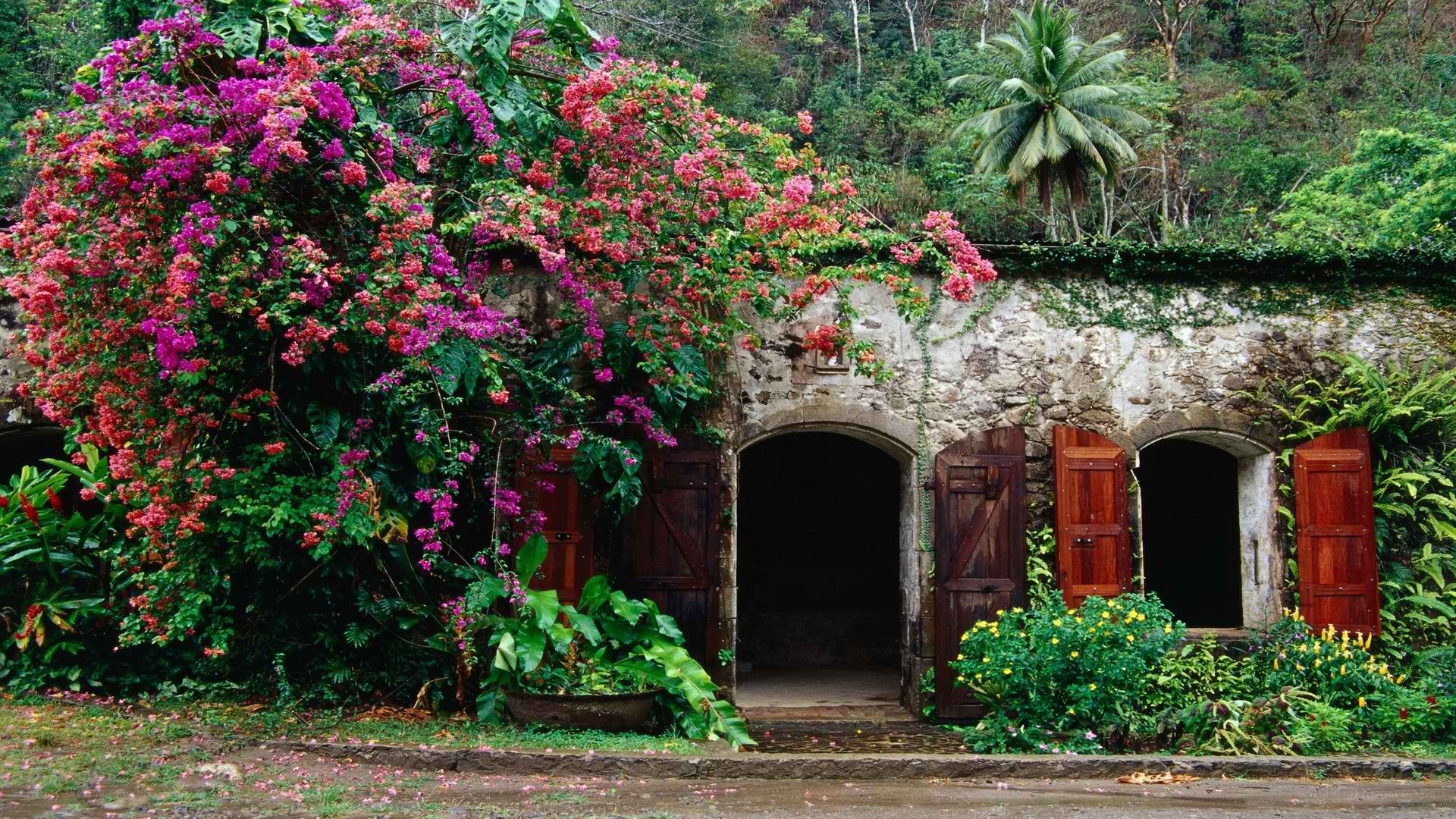 Floral-covered stone house