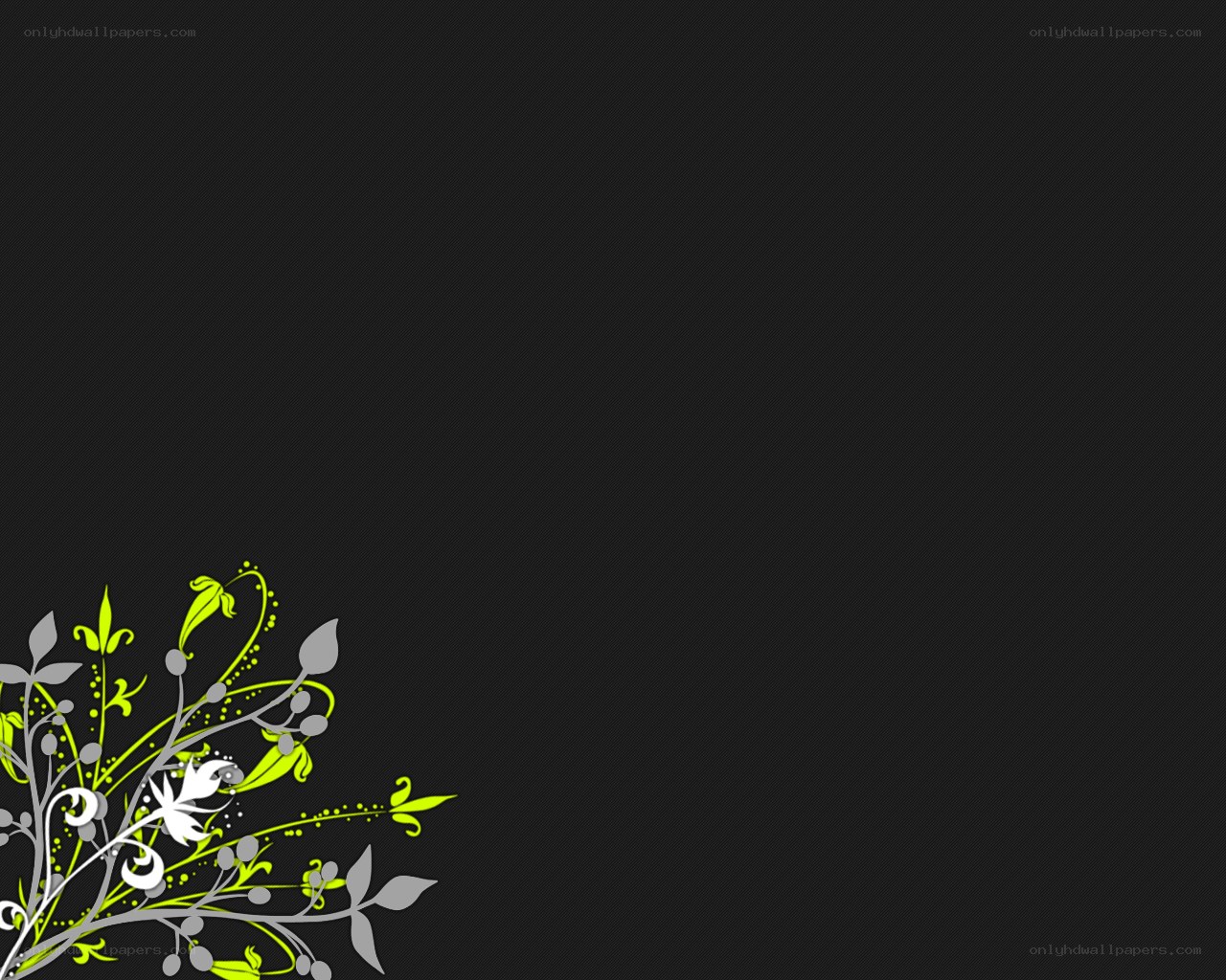 floral design on dark background