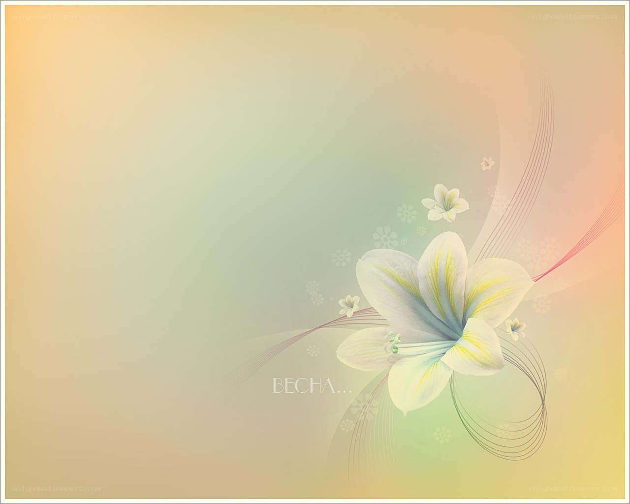 Floral design with soft colors