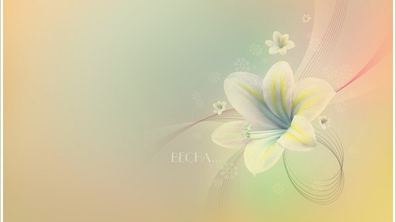 Floral design with soft gradient