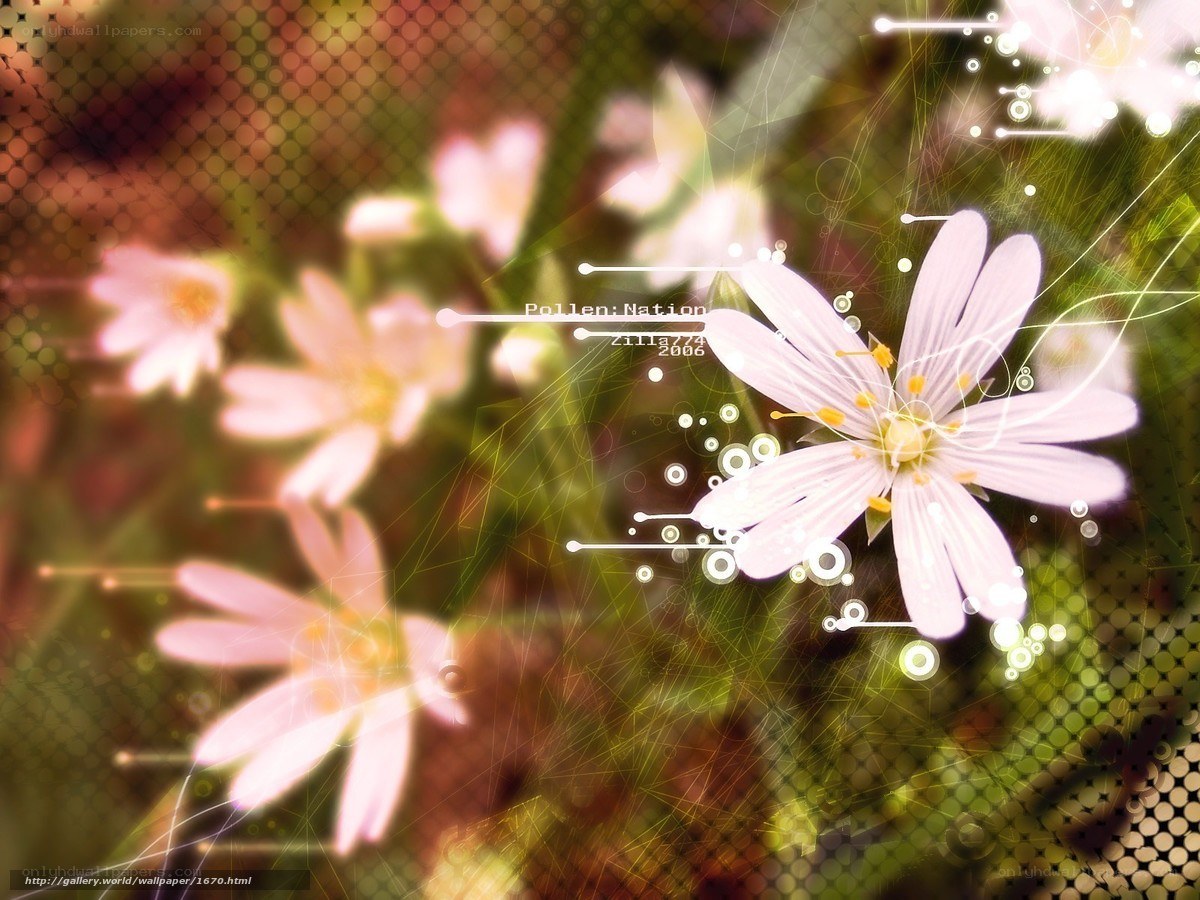 Floral digital art with pollen theme