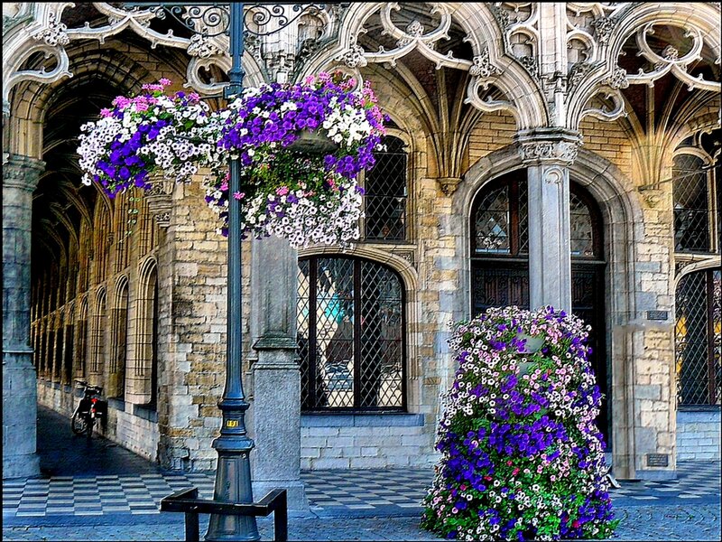 Floral display in historic courtyard