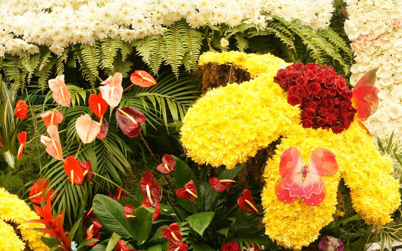 Floral display with yellow and red flowers