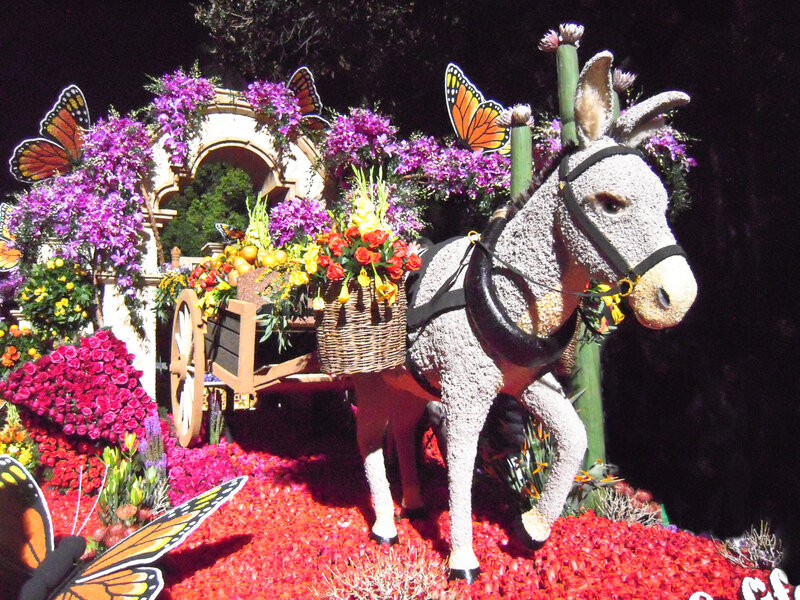 Floral Donkey Cart